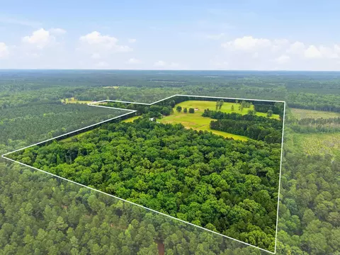 Other - 1083 Grant 18, Grapevine, AR 72057 photo 11 of 19