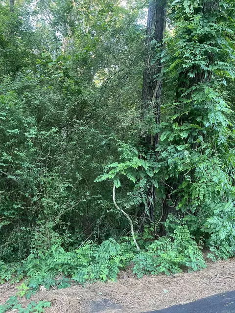lot33 Tanglewood Ii, Monticello, AR 71655