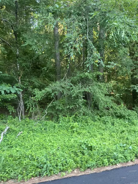 lot41 Tanglewood Ii, Monticello, AR 71655