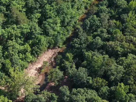 Tracewood Drive, Dennard, AR 72629 photo 31