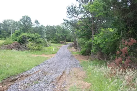 Tracewood Drive, Dennard, AR 72629 photo 2
