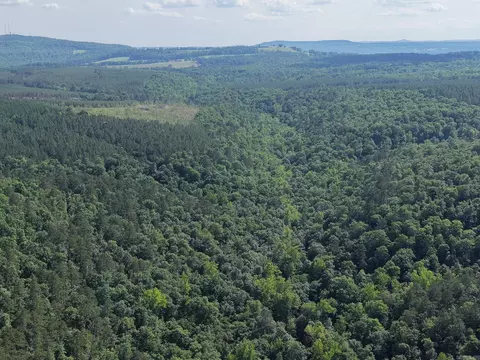 Tracewood Drive, Dennard, AR 72629 photo 32