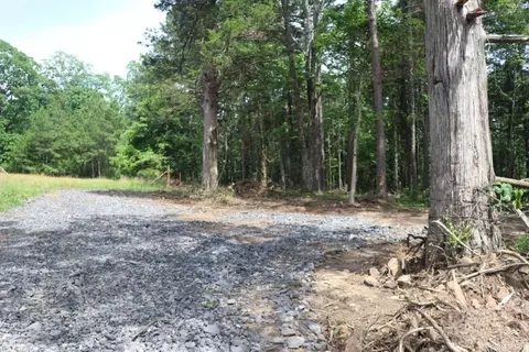 Tracewood Drive, Dennard, AR 72629 photo 3