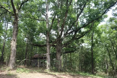Tracewood Drive, Dennard, AR 72629 photo 10