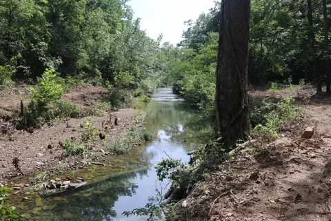 Tracewood Drive, Dennard, AR 72629 photo 21