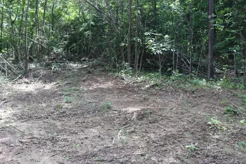 Tracewood Drive, Dennard, AR 72629 photo 8