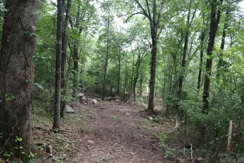 Tracewood Drive, Dennard, AR 72629 photo 5