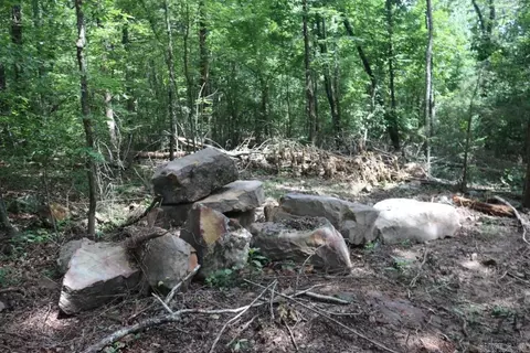 Tracewood Drive, Dennard, AR 72629 photo 6