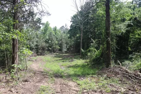 Tracewood Drive, Dennard, AR 72629 photo 7