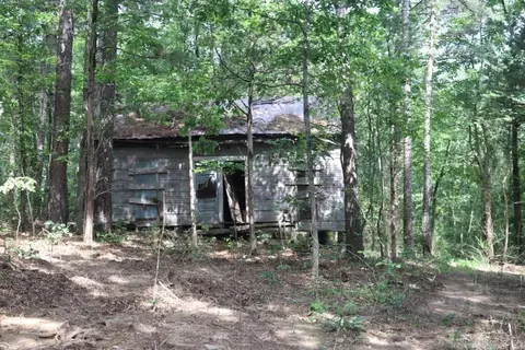 Tracewood Drive, Dennard, AR 72629 photo 12