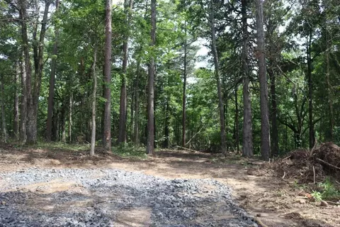 Tracewood Drive, Dennard, AR 72629 photo 4