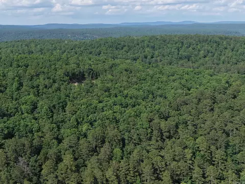 Tracewood Drive, Dennard, AR 72629 photo 33