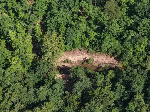 Tracewood Drive, Dennard, AR 72629 photo 30