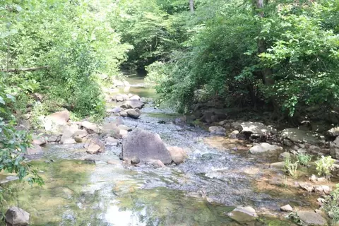 Tracewood Drive, Dennard, AR 72629 photo 19