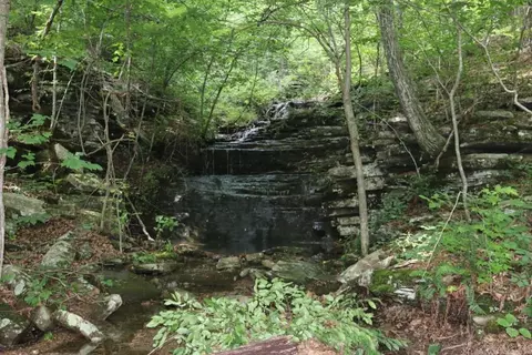Tracewood Drive, Dennard, AR 72629 photo 22