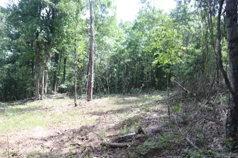 Tracewood Drive, Dennard, AR 72629 photo 9