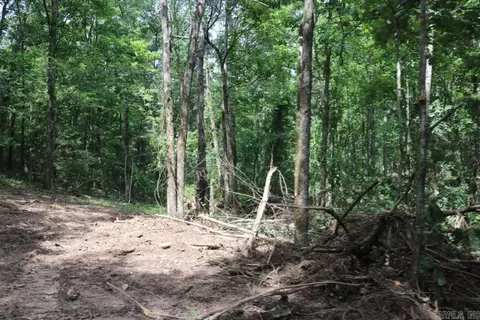 Tracewood Drive, Dennard, AR 72629 photo 14