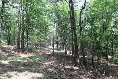 Tracewood Drive, Dennard, AR 72629 photo 15