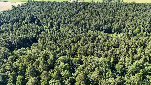 0000 Highway 63, Rison, AR 71665 photo 5