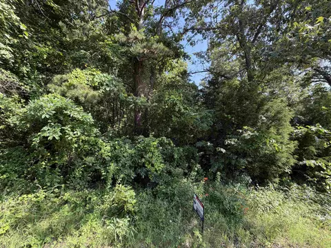 0 56 Hwy, Brockwell, AR 72157