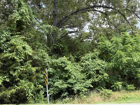 0 56 Hwy, Brockwell, AR 72157