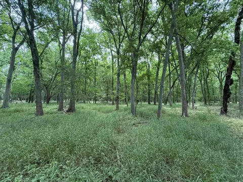 000 Sandy Rd, Morrilton, AR 72010 photo 31