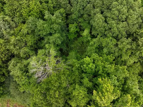 000 Ar-28, Bluffton, AR 72827 photo 25