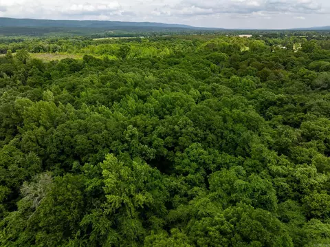 000 Ar-28, Bluffton, AR 72827 photo 23