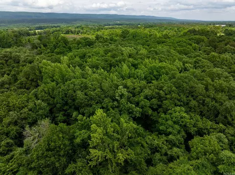 000 Ar-28, Bluffton, AR 72827 photo 24