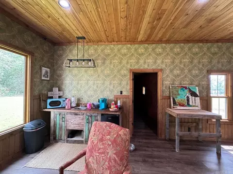3 Dry Bone Rd, Ash Flat, AR 72513 photo 23