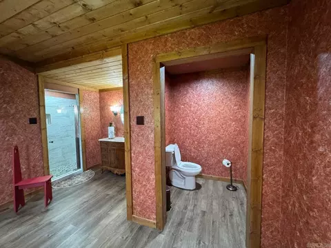 3 Dry Bone Rd, Ash Flat, AR 72513 photo 26