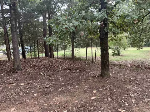 53 Ridgedale Cir, Conway, AR 72034 photo 6