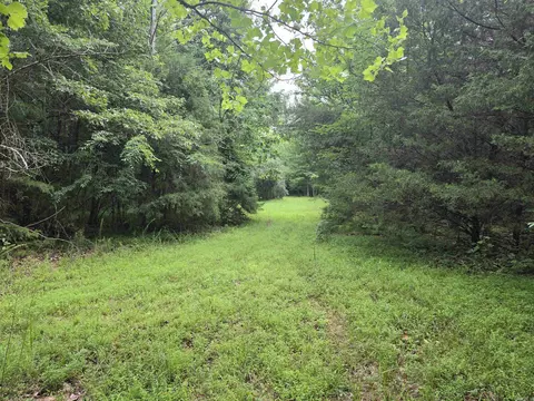 38 Allen Rd, Smithville, AR 72466 photo 44
