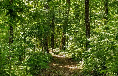 Other - 2306 County Road 8050, Jasper, AR 72641 photo 11 of 12