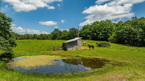 Exterior - 2306 County Road 8050, Jasper, AR 72641 photo 13 of 13