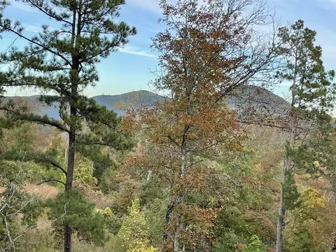 850 Jones Cemetery Rd, Calico Rock, AR 72519