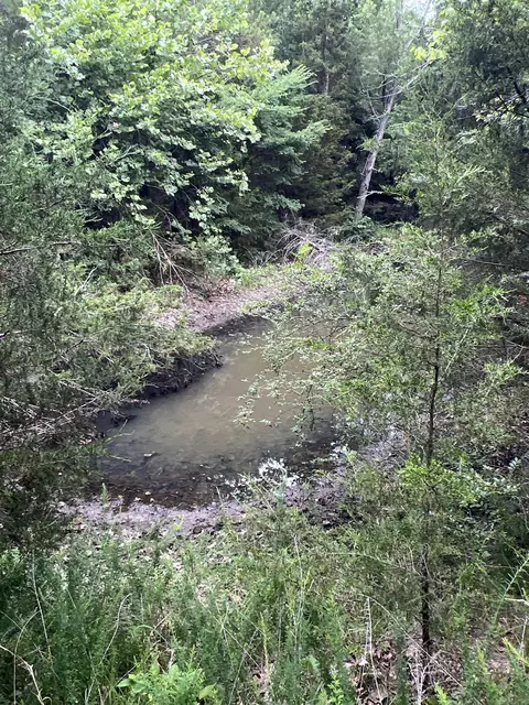 View/Area - 1717 Grassy Rd, Marshall, AR 72650 photo 1 of 2