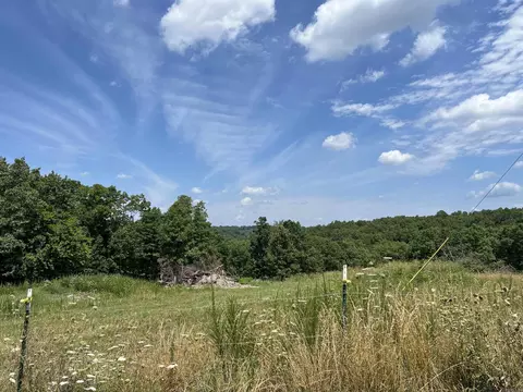 Exterior - 1717 Grassy Rd, Marshall, AR 72650 photo 5 of 15