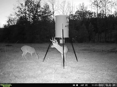 Other - 1717 Grassy Rd, Marshall, AR 72650 photo 7 of 22
