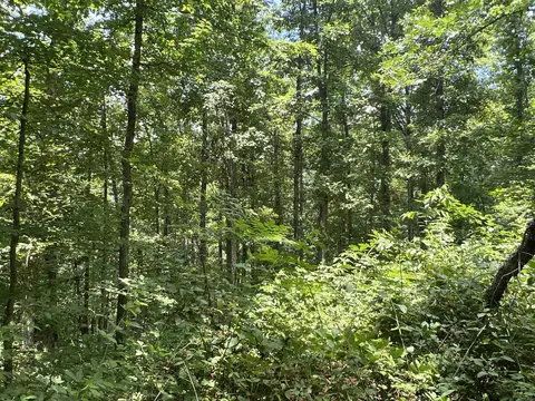 Exterior - 1717 Grassy Rd, Marshall, AR 72650 photo 14 of 15