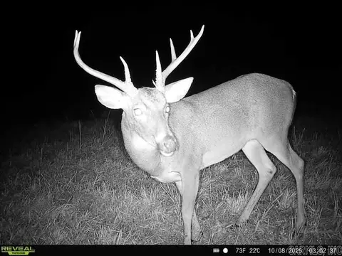 Other - 1717 Grassy Rd, Marshall, AR 72650 photo 6 of 22