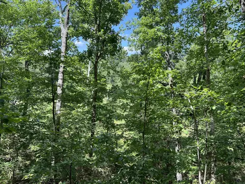 Other - 1717 Grassy Rd, Marshall, AR 72650 photo 18 of 22