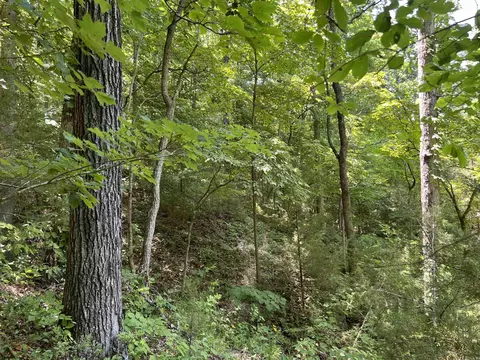 Other - 1717 Grassy Rd, Marshall, AR 72650 photo 19 of 22