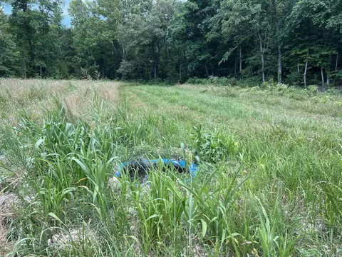 Other - 1717 Grassy Rd, Marshall, AR 72650 photo 20 of 22