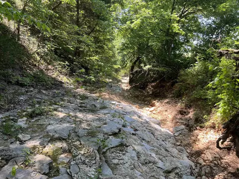 Other - 1717 Grassy Rd, Marshall, AR 72650 photo 13 of 22
