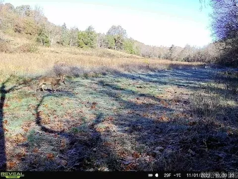 Other - 1717 Grassy Rd, Marshall, AR 72650 photo 9 of 22