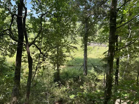 View/Area - 1717 Grassy Rd, Marshall, AR 72650 photo 2 of 2