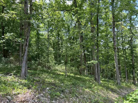 Exterior - 1717 Grassy Rd, Marshall, AR 72650 photo 11 of 15