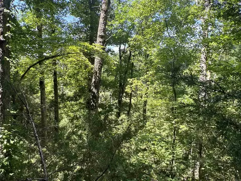Other - 1717 Grassy Rd, Marshall, AR 72650 photo 17 of 22