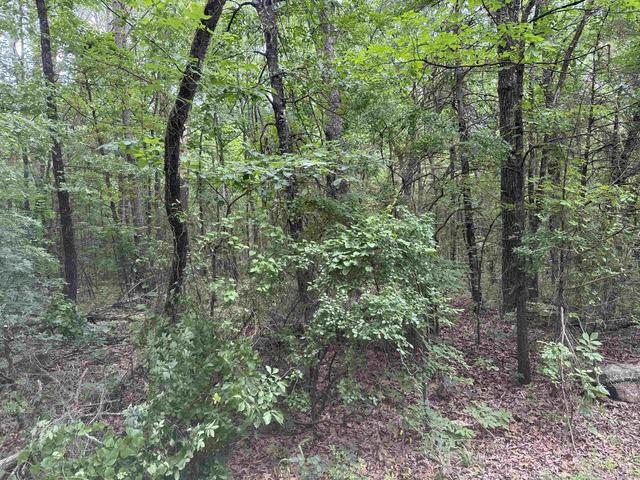 00 No Broadway St, Heber Springs, AR 72543